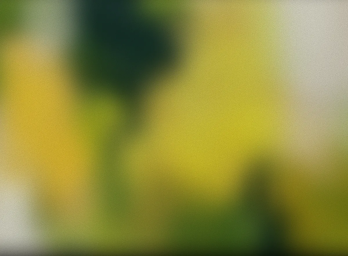 Gradient Paint - (19)
